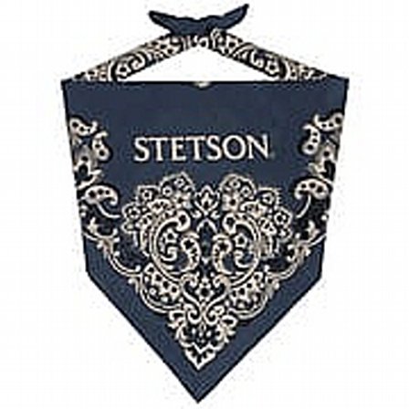 BANDANA - STETSON PAISLEY BANDANDA BL