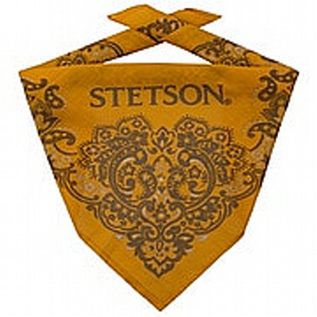 BANDANA - STETSON PAISLEY BANDANDA GUL