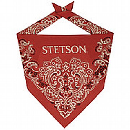 BANDANA - STETSON PAISLEY BANDANDA RD