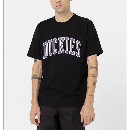 DICKIES T-SHIRT - AITKIN BLACK/IMPERIAL PALACE