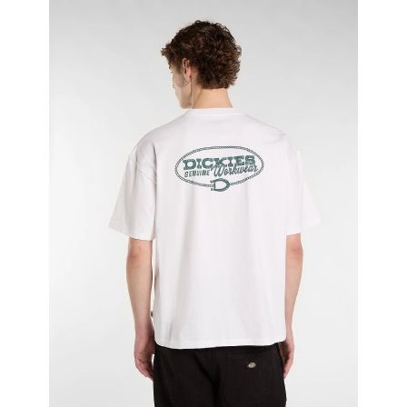 DICKIES T-SHIRT - AVONDALE TEE SS OFF WHITE