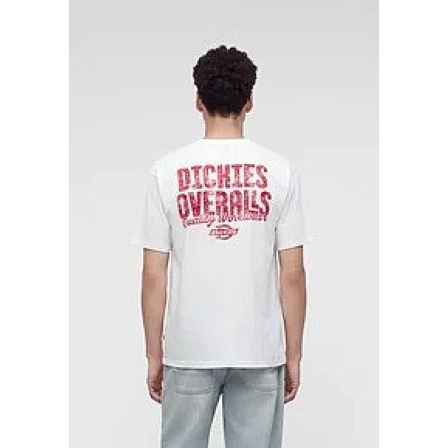DICKIES T-SHIRT - CHINLE SS TEE OFF WHITE