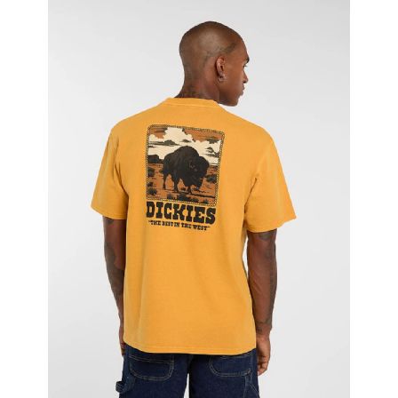 DICKIES T-SHIRT -DARRYOEWN SS SUNFLOWER
