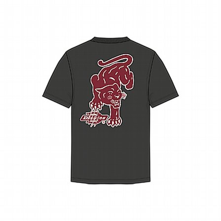DICKIES T-SHIRT - GARYSVILLE TEE BLACK