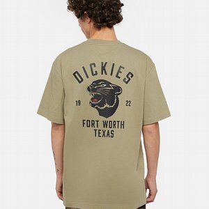 DICKIES T-SHIRT - PANTHER TEE SS IMPERIAL GREEN