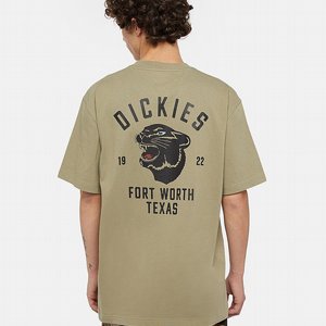 DICKIES T-SHIRT - PANTHER TEE SS IMPERIAL GREEN 2 thumbnail