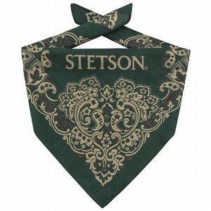 BANDANA - STETSON PAISLEY BANDANDA GRN