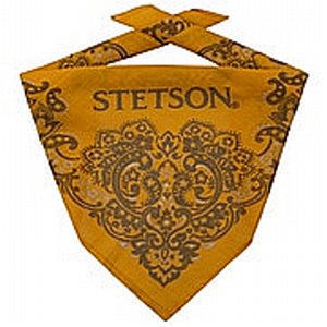 BANDANA - STETSON PAISLEY BANDANDA GUL