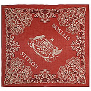 BANDANA - STETSON PAISLEY BANDANDA RD 2 thumbnail