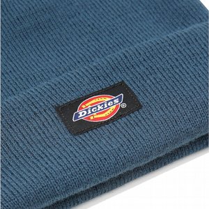 DICKIES MSSA - GIBSLAND CORAL BLUE 2 thumbnail