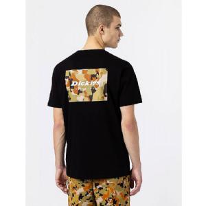 DICKIES T-SHIRT - ARTONDALE BOX TEE BLACK