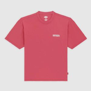 DICKIES T-SHIRT - AVONDALE TEE SS DEEP CLARET 3 thumbnail