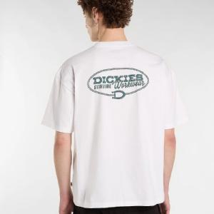 DICKIES T-SHIRT - AVONDALE TEE SS OFF WHITE