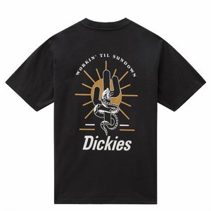 DICKIES T-SHIRT - BETTLES SHORT SLEEVE BLACK thumbnail