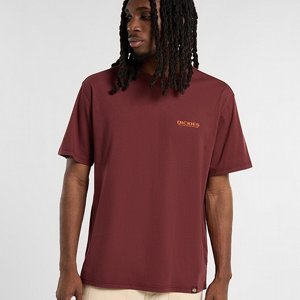 DICKIES T-SHIRT - BURNS TEE VINRD 2 thumbnail