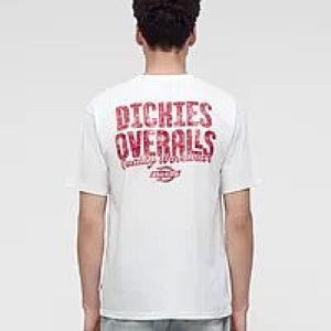 DICKIES T-SHIRT - CHINLE SS TEE OFF WHITE