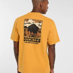DICKIES T-SHIRT -DARRYOEWN SS SUNFLOWER