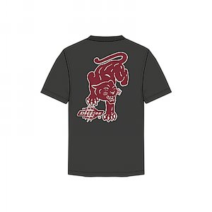 DICKIES T-SHIRT - GARYSVILLE TEE BLACK