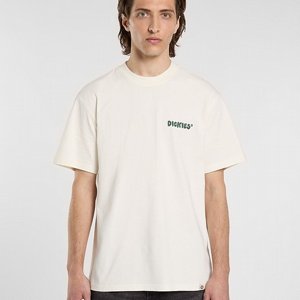 DICKIES T-SHIRT - GORDONSVILLE WHITE 2 thumbnail