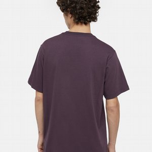 DICKIES T-SHIRT - ICON LOGO PLUM 2 thumbnail