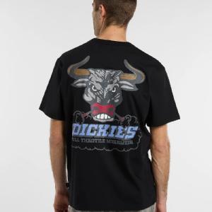 DICKIES T-SHIRT - LAKERIDGE TEE SS BLACK