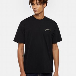 DICKIES T-SHIRT - PANTHER TEE SS B LACK 2 thumbnail