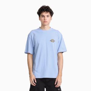DICKIES T-SHIRT - PARADISE TEE SS LAVENDER PURPLE