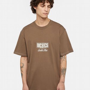 DICKIES T-SHIRT - PHILIPSBURG BRUN 3 thumbnail