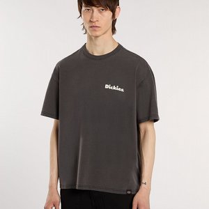 DICKIES T-SHIRT - SLAYDEN GD BLACK 2 thumbnail