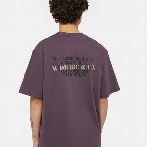 DICKIES T-SHIRT - STAMP TEE PLOMMONLILA